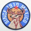 画像1: ワッペン Since1910メキシコ(ラウンド)